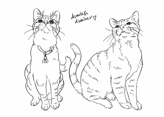 A black and white drawing of two cats with silly expressions. 