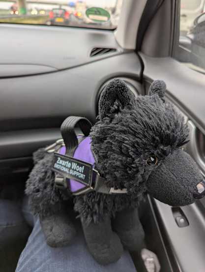 Black wolf plushie 'Zwarte Woef' in a harness marked with their name and 'emotional support'