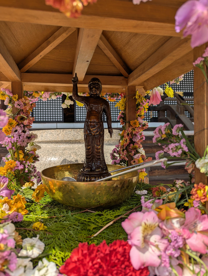 A small statue of Buddha as an infant is displayed by many temples on Buddha's Birthday. Worshipers pray by pouring sweet tea over the statue.