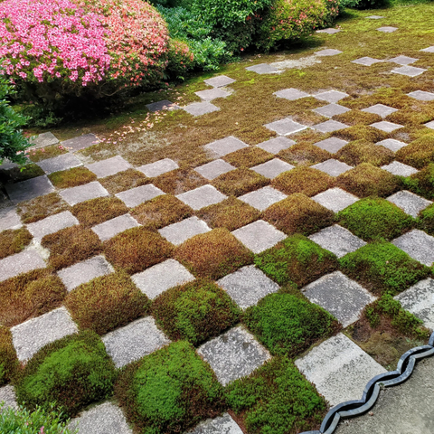 Azaleas add a splash of colour to Tofuku-ji's checkerboard garden.
