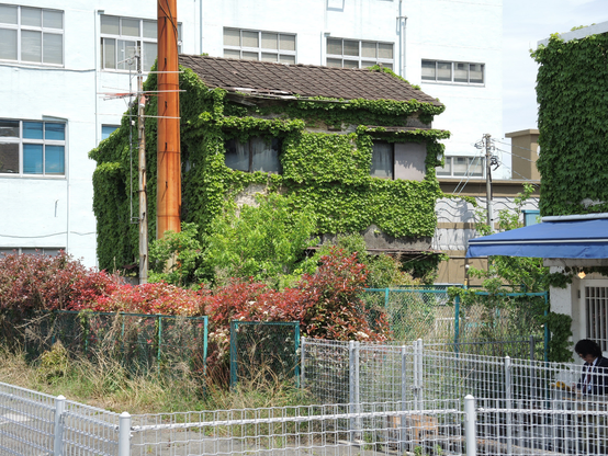 Japan: mit Pflanzen überwuchertes Haus am Hafen von Yokohama