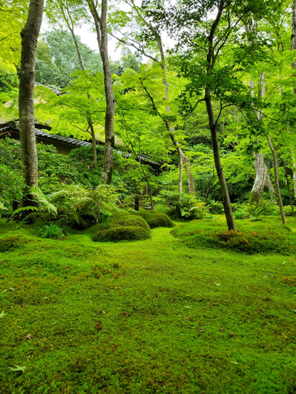 The moss garden at Giou-ji.