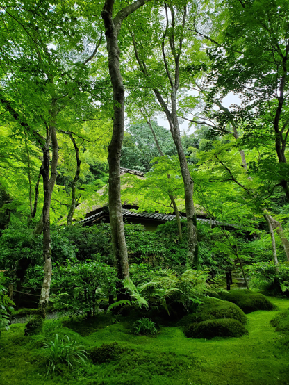 The moss garden at Giou-ji.
