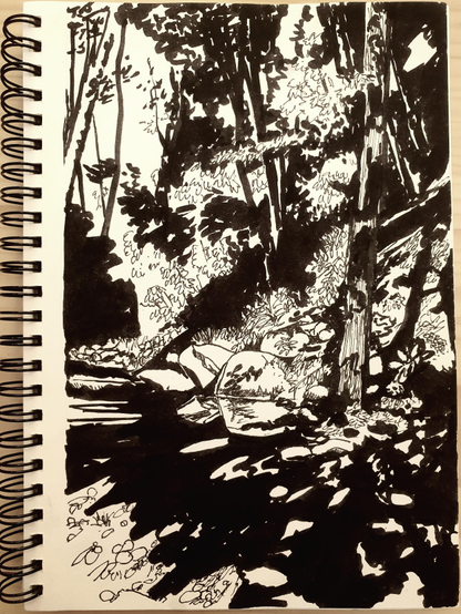 Black ink drawing of a forest scene with strong shadows, of a shallow stream of water running among rocks just under some trees.
