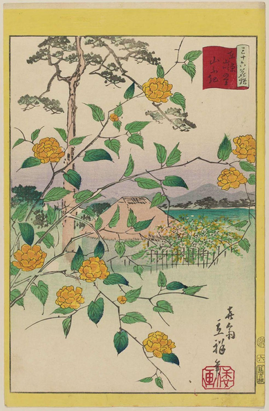 Woodblock print of yamabuki flowers blooming about a thatched hut.

Image thanks🙇‍♂️-ukiyo-e.org