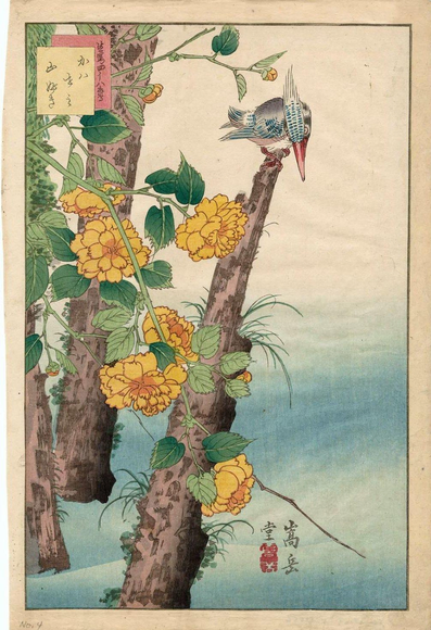 Woodblock print of a kingfisher perching above yamabuki.

Image thanks🙇‍♂️-ukiyo-e.org