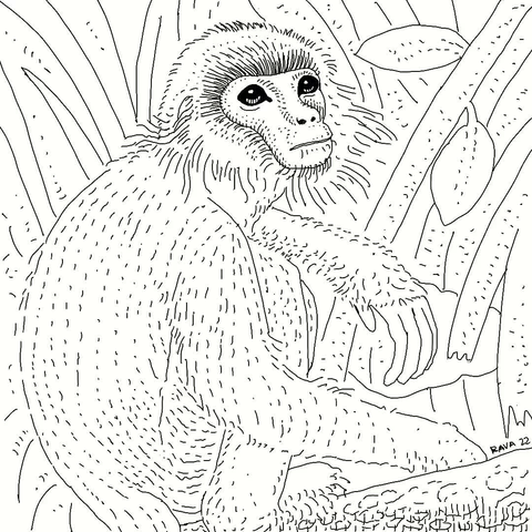 A short video clip of me drawing the douc langur from the previous post.