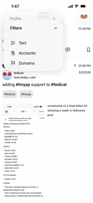 screenshot of filters menu with options for text, accounts, and domains