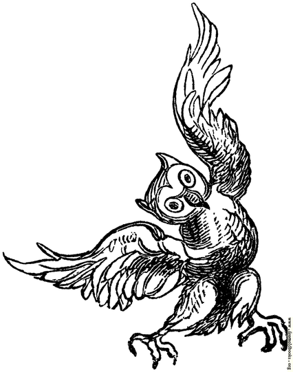 This black and white line-drawing of an owl looks startlingly modern, with eyes wide as if in surprise, body twisted, wings spread for takeoff.