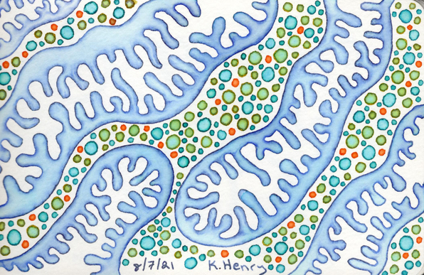 Hand drawn generative/procedural art in ink on paper. The abstract patterns look a bit like microscopic mitochondria in a cell.