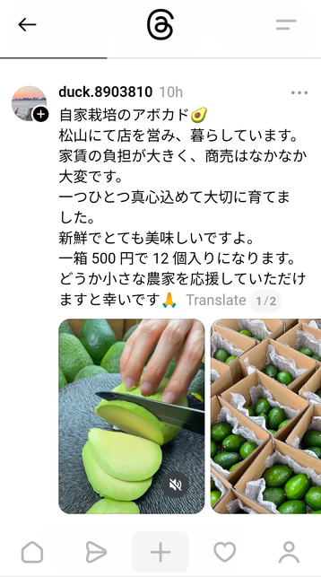 国内のアボカド農家を装ったアカウントのThreadsの投稿