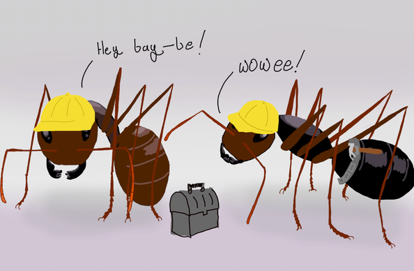Color drawing of realistic carpenter ants with little hard hats and tools. One says "hey bay-be" the other says "wow we"