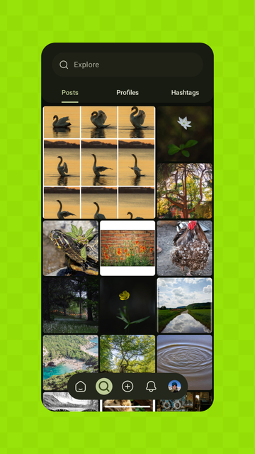 Screenshot of Pixelix on green background. Search bar on top. Tab bar with items Posts, Profiles and Hashtags. Content is a grid of images