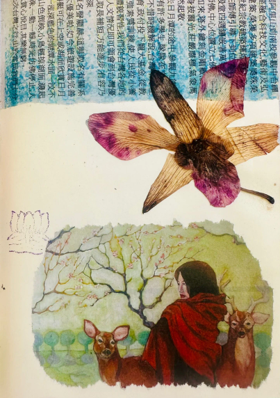 Human made collage with paper, glue and an orchid flower.