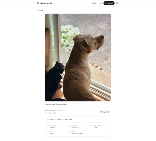 Shutter.social, a simple laravel app to demonstrate the laravel-activitypub package I'm building