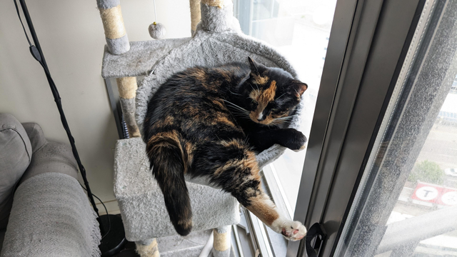 A relaxed tortoiseshell domestic shorthair cat lounging in a grey plush hammock on a cat tree. The cat has a mottled black and orange coat with white markings including a white sock on one extended paw and a small white spot on its nose. Short to medium length plush fur. The cat is lying curled slightly with its dark tail hanging over the edge and one hind leg stretched out straight, dangling near a sliding glass window handle. Eyes are half-open with a sleepy, content expression. A grey sofa and window view are visible in the background.