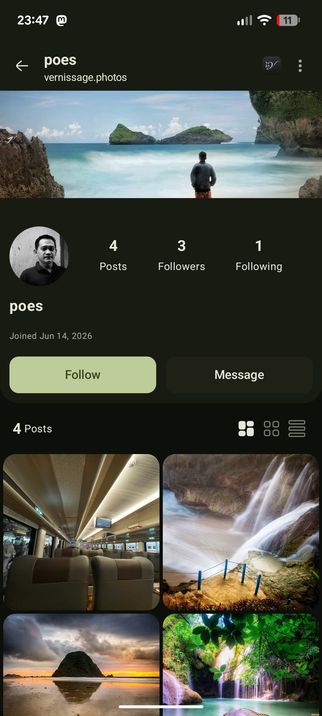 Profile page with banner, profile image, some stats and a grid of posts at the bottom