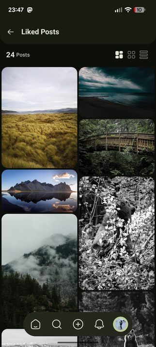 Grid of posts. Navigation bar at top says "liked posts"
