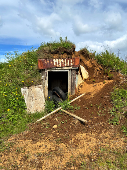 An old Icelandic potato storage.