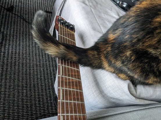 A tortoiseshell cat with black and orange fur lying on a white bed sheet, its tail draped across the neck and fretboard of an electric guitar resting beside it.