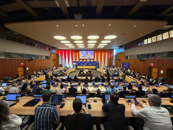 View during the panel from the back of the ECOSOC chamber. The audience is full.