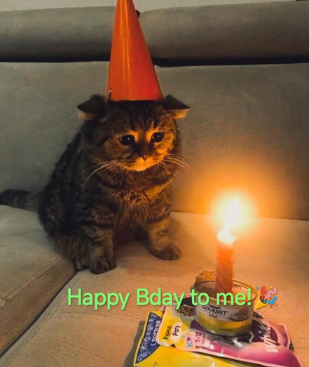 A tabby cat with folded ears wearing an orange party cone hat sits on a gray couch, looking downward with wide, sad eyes. In front of the cat, a single lit candle burns inside an open can of pet food, illuminating its face with a warm, orange glow. The text "Happy Bday to me! 🎉" is written in bright green across the bottom of the image.