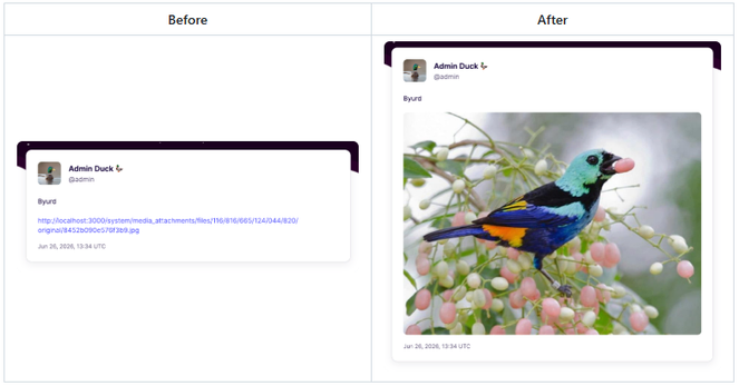 A before/after screenshot comparing a Mastodon notification email that links to an image on the left, and fully embeds it on the right.

The image itself shows a nice colorful bird in a tree holding something in its beak.