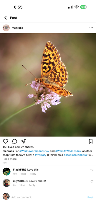 New pixelfed mobile app post screen