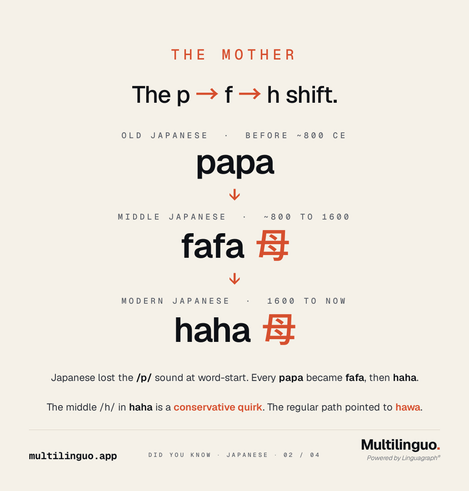 Did You Know Japanese, slide 2 of 4. THE MOTHER. The p to f to h shift. Cascade: Old Japanese before 800 CE papa, Middle Japanese 800 to 1600 fafa 母, Modern Japanese 1600 to now haha 母. Japanese lost the p sound at word-start. Every papa became fafa, then haha.