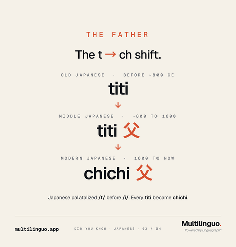 Did You Know Japanese, slide 3 of 4. THE FATHER. The t to ch shift. Cascade: Old Japanese before 800 CE titi, Middle Japanese 800 to 1600 titi 父, Modern Japanese 1600 to now chichi 父. Japanese palatalized t before i. Every titi became chichi.