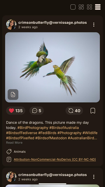 Detailed post view with image, profile and description