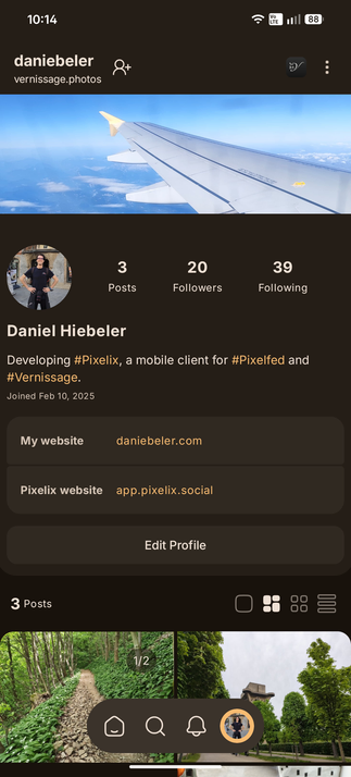 Profile page of Pixelix. Shows banner at top and fields in the profile section. Fields are "My website: daniebeler.com" and "Pixelix website: app.pixelix.social"