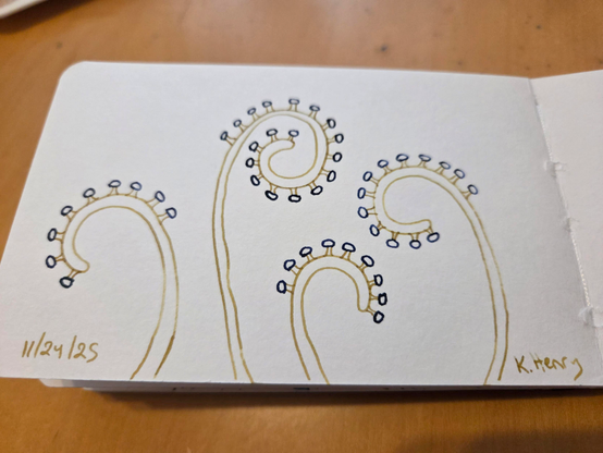 Hand drawn generative/procedural art in ink on an open page of my sketchbook. The abstract pattern looks a bit like curly plant stalks with little fungi shapes on the edges. Difficult to describe.