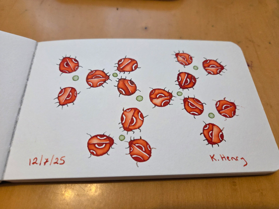Hand drawn generative/procedural art in ink on an open page of my sketchbook. The abstract pattern looks like a network made of orange ladybugs and green dots.