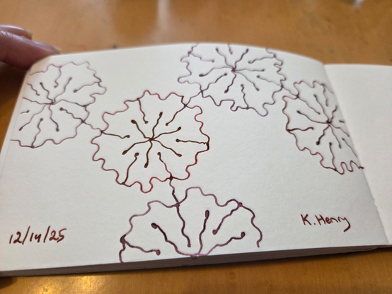 Hand drawn generative/procedural art in ink on an open page of my sketchbook. The abstract pattern looks a bit like a chemistry diagram made of flowers.