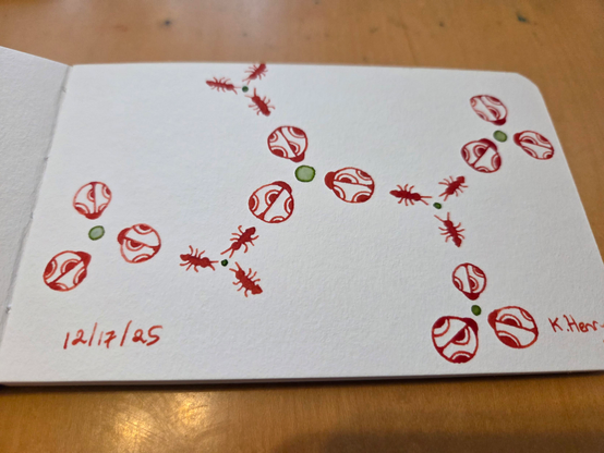 Hand drawn generative/procedural art in ink on an open page of my sketchbook. The abstract pattern looks a bit like a chemistry diagram, but with ladybugs and ants instead of lines.