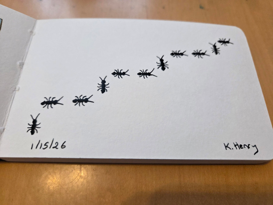 Hand drawn generative/procedural art in ink on an open page of my sketchbook. The abstract pattern looks like ants walking in a step-wise pattern, at right angles to each other.