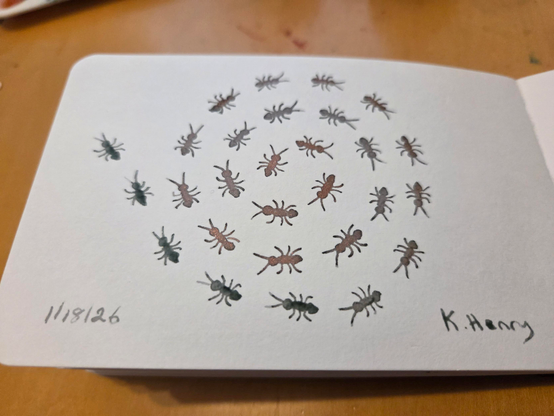 Hand drawn generative/procedural art in ink on an open page of my sketchbook. The abstract pattern looks a bit like ants in a spiral.