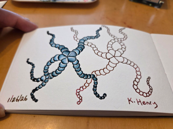 Hand drawn generative/procedural art in ink on an open page of my sketchbook. The abstract pattern looks like it could be two starfish dancing with joy.