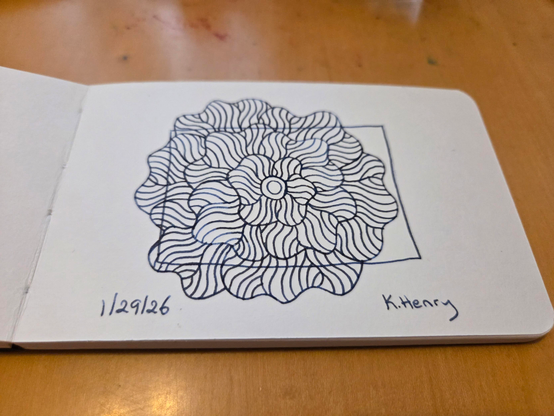 Hand drawn generative/procedural art in ink on an open page of my sketchbook. The abstract pattern is floral with a rectangle overlapping the floral pattern.