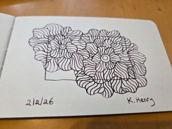 Hand drawn generative/procedural art in ink on an open page of my sketchbook.  The abstract pattern is floral with an overlapping rectangle.