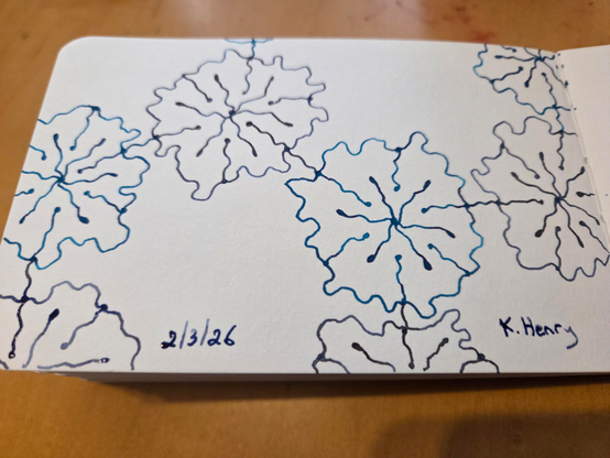 Hand drawn generative/procedural art in ink on an open page of my sketchbook. The abstract pattern looks a bit like a chemistry diagram with flowers.