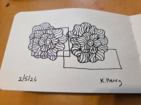 Hand drawn generative/procedural art in ink on an open page of my sketchbook. The abstract pattern has two floral patterns and boxes.