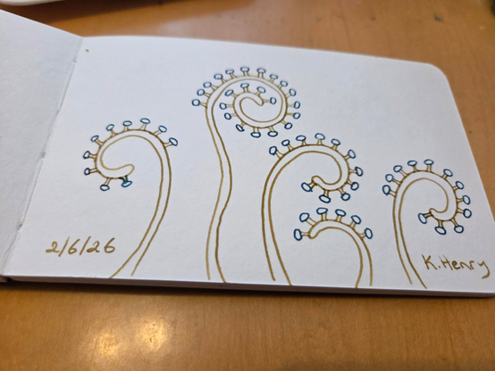 Hand drawn generative/procedural art in ink on an open page of my sketchbook. The abstract pattern looks a bit like a fiddle head fern sprouts with tiny mushrooms on them.