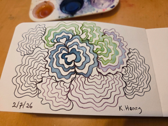 Hand drawn generative/procedural art in ink on an open page of my sketchbook. The abstract pattern looks a bit like turkey tail mushrooms.