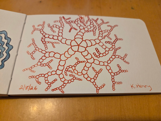 hand drawn generative/procedural art in ink on an open page of my sketchbook. The abstract pattern looks a bit like a fractal starfish, lots of branching.