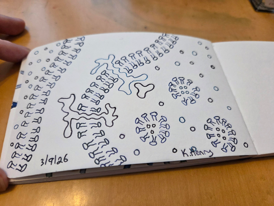 Hand drawn generative/procedural art in ink on an open page of my sketchbook. The abstract pattern looks like a cell biology diagram with phospholipid membranes and structures.