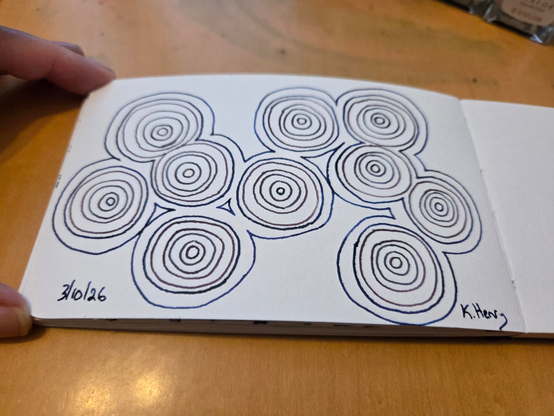 Hand drawn generative/procedural art in ink on an open page of my sketchbook. the abstract pattern has a bunch of circles and concentric circles and a final blobby shape. Kind of like agate.