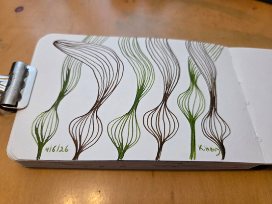 Hand drawn generative/procedural art in ink on an open page of my sketchbook. The abstract pattern looks a bit like kelp.