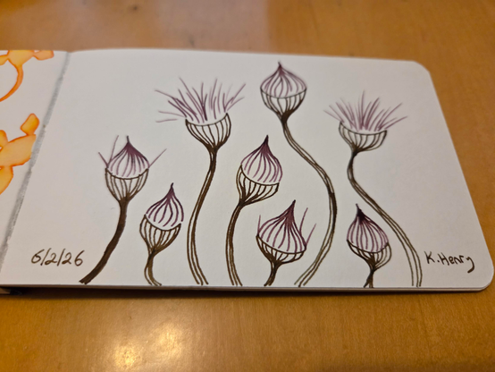 Hand drawn generative/procedural art in ink on an open page of my sketchbook. The abstract pattern in kinda floral. 